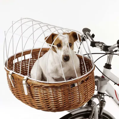Cestino in vimini con griglia metallica montato su bicicletta, cane bianco seduto all'interno. Manubrio e parte anteriore della bici visibili.