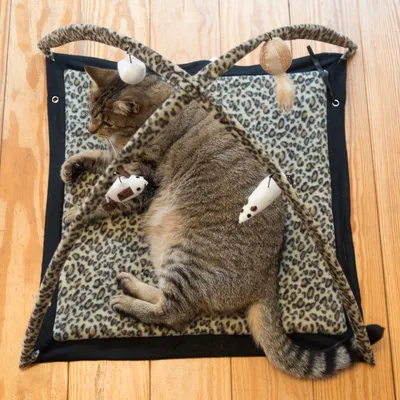 Alfombra de juego con estampado de leopardo, arcos cruzados y juguetes colgantes como ratones y pelotas. Gato tumbado en la alfombra.