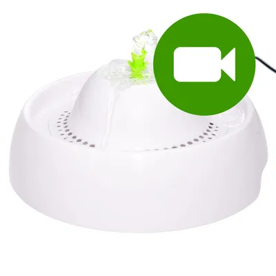 Neptun poidełko fontanna