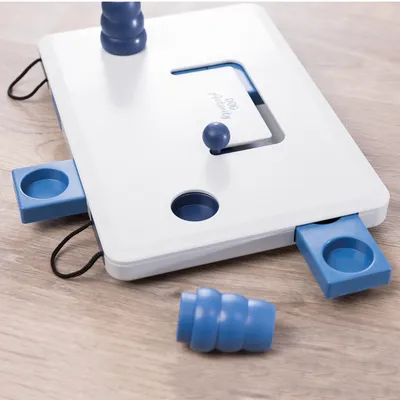 Jeu d’intelligence en plastique blanc et bleu avec tiroirs coulissants, couvercle marqué « DOG Activity » et pièces amovibles visibles sur une surface en bois.