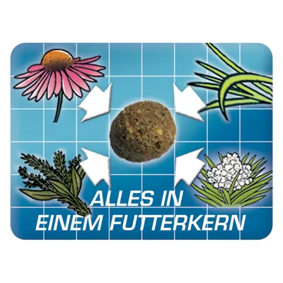Tekst in het Duits: 'ALLES IN EINEM FUTTERKERN' met een voederkern en illustraties van vier verschillende planten eromheen.