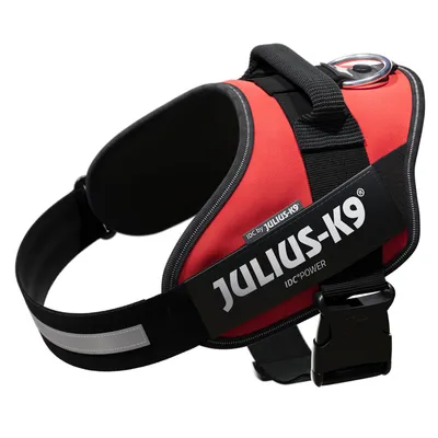 Julius-K9 IDC Power Hundegeschirr in Rot mit reflektierenden Streifen und robustem Verschluss.