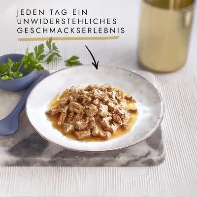 Texte en allemand : Jeden Tag ein unwiderstehliches Geschmackserlebnis. Assiette avec morceaux de nourriture humide en sauce, herbes fraîches et cuillère visibles à côté.