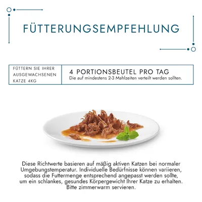Conseils d’alimentation (texte en allemand) : pour un chat adulte de 4 kg, 4 sachets par jour répartis sur 2–3 repas. Photo d’une assiette de nourriture humide pour chat.