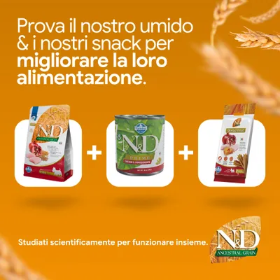 N&D Ancestral Grain crocchette, N&D Prime alimento umido e N&D dental treats. Sviluppati scientificamente per una nutrizione ottimale.