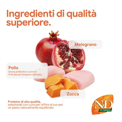 Componenti: pollo senza antibiotici e ormoni, allevamento all'aperto dall'Italia, melograno, zucca. Proteine di alta qualità per un pasto equilibrato. N&D Pumpkin.