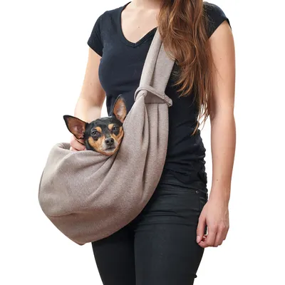 Vrouw draagt een kleine hond in een beige draagtas die over haar schouder hangt.