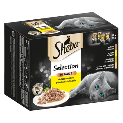 Pachet Sheba Selection in Sauce, 12 x 85 g, variație de carne de pasăre. Imagine cu pisică și farfurie cu hrană umedă pe ambalaj. Text vizibil: Geflügel Variation.