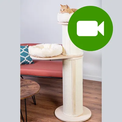 Natural Paradise, słupek do drapania dla kota Jasmine L