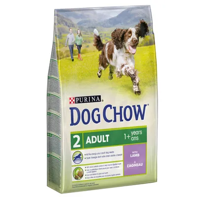 Purina Dog Chow 2 Adult 1+ years with Lamb. Widoczne piktogramy: zdrowie trawienne, chrupiące kawałki, higiena jamy ustnej. Tekst w języku angielskim i francuskim.
