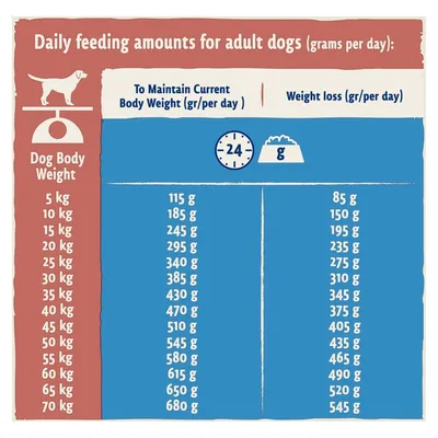 Daily feeding amounts for adult dogs by body weight in kilograms, showing grams per day for maintaining current weight and for weight loss. Table lists values from 5 kg to 70 kg.