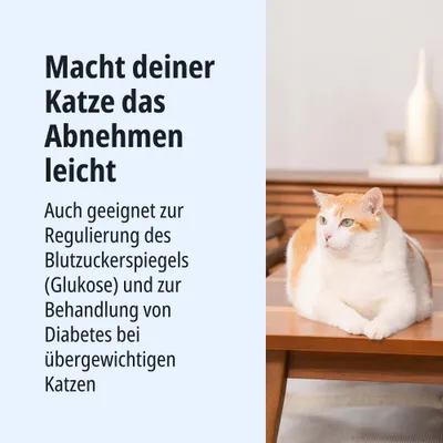 Macht deiner Katze das Abnehmen leicht. Geeignet zur Regulierung des Blutzuckerspiegels und Behandlung von Diabetes bei übergewichtigen Katzen.