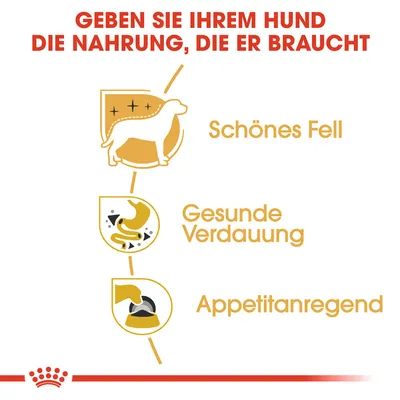 Grafik mit Text: 'Geben Sie Ihrem Hund die Nahrung, die er braucht'. Vorteile: Schönes Fell, Gesunde Verdauung, Appetitanregend. Royal Canin Logo unten.