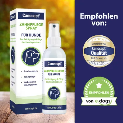 Canosept fogápoló spray kutyáknak. A kutyafogazat tisztítására és ápolására. Friss lehelet, fogápolás, jobb szájhigiénia. Ajánlja Prof. Dr. med. vet. Norbert Allgaier és e-dogs.