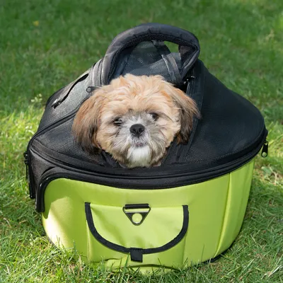 Sac de transport pour animal en tissu vert et noir, fermeture zippée partiellement ouverte, poignée sur le dessus, poche frontale visible, posé sur l’herbe.