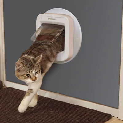 PetSafe cat flap with transparent flap mechanism, cat passing through the door opening.