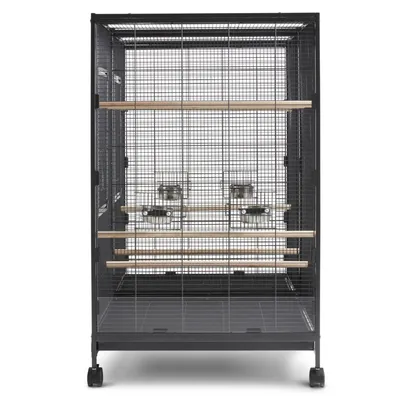 Colivie pentru păsări din metal cu pereți din grilaj, patru stinghii din lemn și două recipiente pentru hrană. Colivie pe roți pentru mutare ușoară.