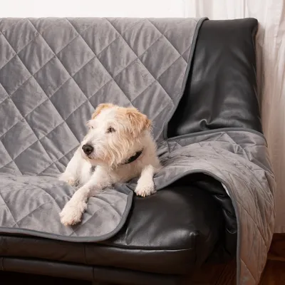Graue gesteppte Sofadecke aus Stoff, drapiert über ein Ledersofa. Ein kleiner Hund liegt entspannt auf der Decke.