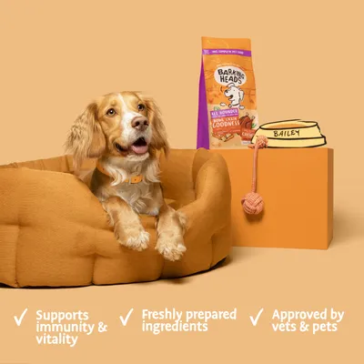 Pet food product with text: supports immunity and vitality, freshly prepared ingredients, approved by vets and pets. Food bag, bowl labelled Bailey, and toy shown.