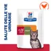 Hill's Prescription Diet c/d Urinary Stress + Metabolic umido per gatti - Pollo