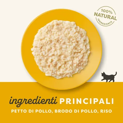 Applaws Natural Kitten in brodo 12 x 50 g