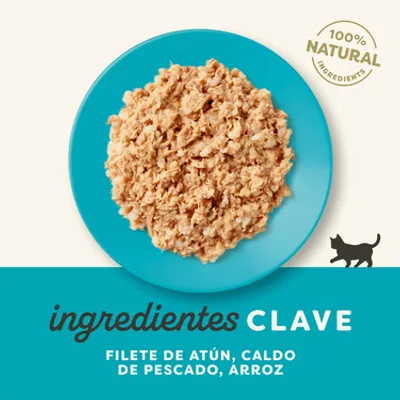 Applaws Natural Kitten en caldo 48 x 50 g - Pack ahorro