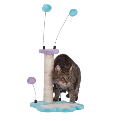 Arbre à chat avec poteau en sisal, base en tissu bleu et violet, trois jouets à pompons sur ressorts, chat tigré debout à côté de la structure.