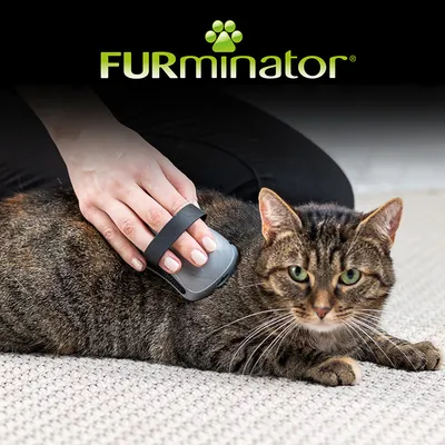 Hand using a grooming tool on a cat’s back, demonstrating product use for removing loose fur. FURminator brand name shown above.