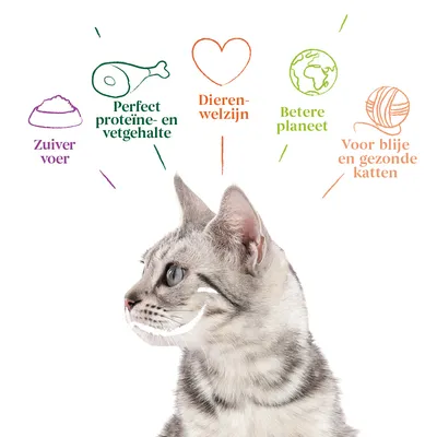 Zuiver voer, Perfect proteïne- en vetgehalte, Dierenwelzijn, Betere planeet, Voor blije en gezonde katten