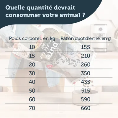 Tableau des rations quotidiennes : poids corporel 10 kg 155 g, 15 kg 210 g, 20 kg 260 g, 30 kg 350 g, 40 kg 435 g, 50 kg 515 g, 60 kg 590 g, 70 kg 660 g.