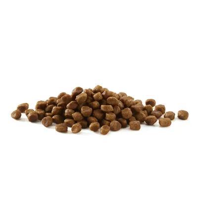 Pile of brown dry pet food kibble pieces on a white background. No visible packaging or branding.