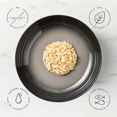 Encore Cat Tin 16 x 70g - Chicken Breast with Cheese