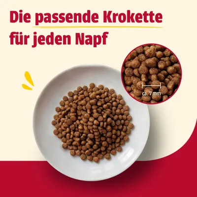 Die passende Krokette für jeden Napf. Nahaufnahme von Kroketten auf einem Teller, Detailansicht mit Größenangabe ca. 7 mm.