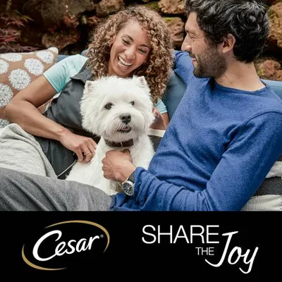 Cane bianco seduto tra due persone, in basso testo: Cesar SHARE THE JOY. Marchio Cesar visibile.