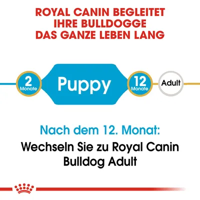 Royal Canin begleitet Ihre Bulldogge das ganze Leben lang. Nach dem 12. Monat: Wechseln Sie zu Royal Canin Bulldog Adult.