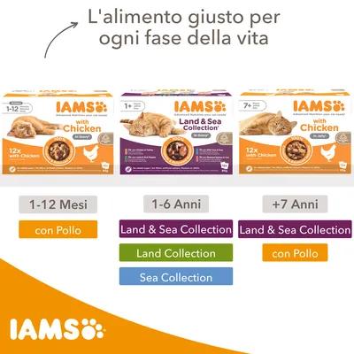 Tre confezioni IAMS per gatti: 1-12 mesi con pollo, 1-6 anni Land & Sea Collection, oltre 7 anni con pollo. Testo: L'alimento giusto per ogni fase della vita. Opzioni visibili per età e gusti.