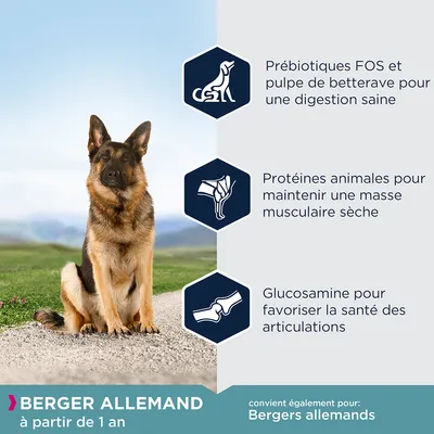 Berger Allemand à partir de 1 an. Prébiotiques FOS et pulpe de betterave pour une digestion saine, protéines animales pour masse musculaire sèche, glucosamine pour les articulations.