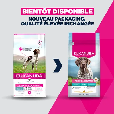 Eukanuba Daily Care Working & Endurance Adult pour chien