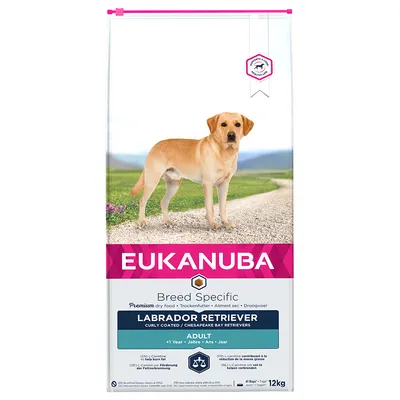 Eukanuba Breed Specific dry food for Labrador Retriever, Curly Coated and Chesapeake Bay Retrievers, adult, over 1 year, 12kg bag. Key benefits highlighted on packaging.