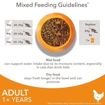 Mixed feeding guidelines for adult cats 1+ years: 3kg 40–55g, 4kg 50–65g, 5kg 55–75g. Replace 20g dry food with 1x 85g wet food. Wet and dry food benefits described.