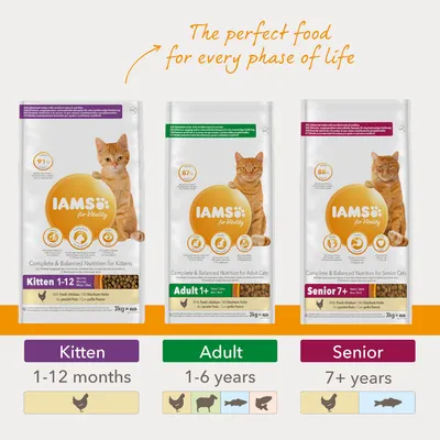 IAMS for Vitality kissanruoka: Kitten 1–12 kk, Adult 1+ v, Senior 7+ v. Pakkauksissa oranssi kissa ja tekstit: 91 %, 87 %, 88 %. Maku: tuore kana. Paino 3 kg.