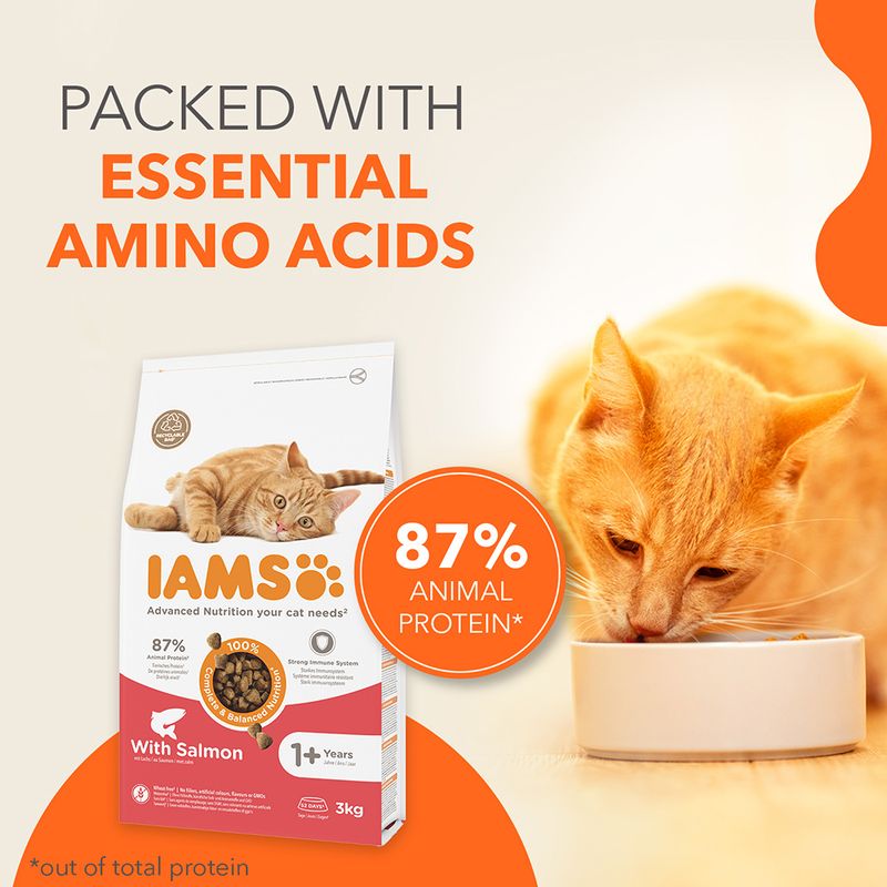 IAMS Advanced Nutrition Adult Cat with Salmon