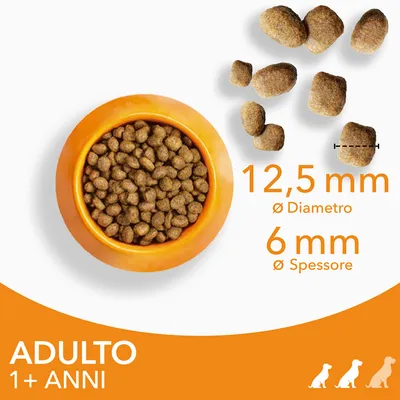 Crocchette per cani adulti 1+ anni, diametro 12,5 mm, spessore 6 mm, visibili in una ciotola arancione e singolarmente con misure indicate.