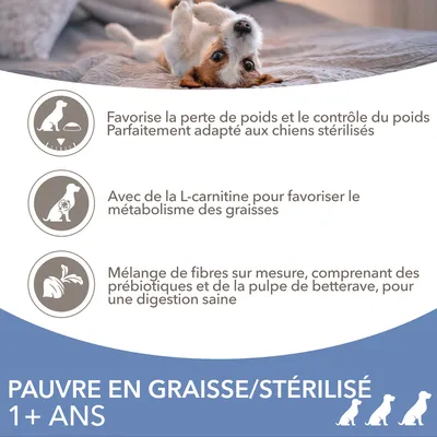 Pauvre en graisse/stérilisé 1+ ans. Favorise la perte de poids, contrôle du poids, L-carnitine pour le métabolisme des graisses, fibres avec prébiotiques et pulpe de betterave.