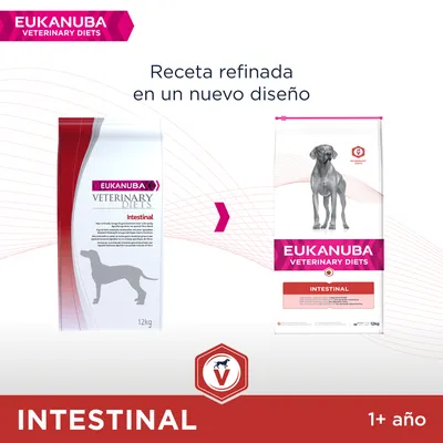 EUKANUBA VETERINARY DIETS Intestinal, receta refinada en un nuevo diseño. Imagen de dos sacos de pienso para perros, 12 kg, con la palabra INTESTINAL y texto 1+ año.