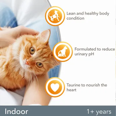 Teksti: Lean and healthy body condition, Formulated to reduce urinary pH, Taurine to nourish the heart, Indoor 1+ years. Tekstit englanniksi.