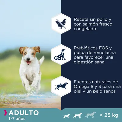 Receta sin pollo y con salmón fresco congelado, prebióticos FOS y pulpa de remolacha, fuentes naturales de Omega 6 y 3. Adulto 1–7 años, menos de 25 kg.