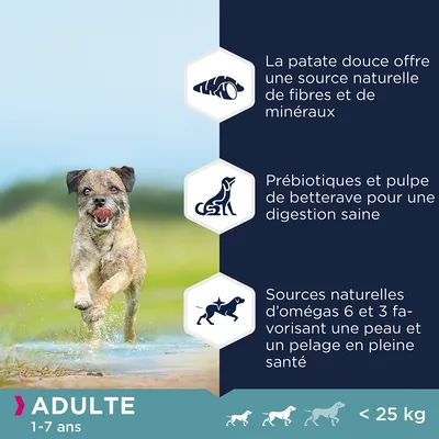 ADULTE 1–7 ans, <25 kg. La patate douce offre fibres et minéraux, prébiotiques et pulpe de betterave pour digestion saine, omégas 6 et 3 pour peau et pelage en santé.