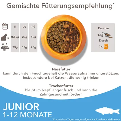 Gemischte Fütterungsempfehlung für Junior Katzen 1-12 Monate: Nassfutter unterstützt Wasseraufnahme, Trockenfutter fördert Zahngesundheit. Tabelle mit Gewicht und Tagesmengen.