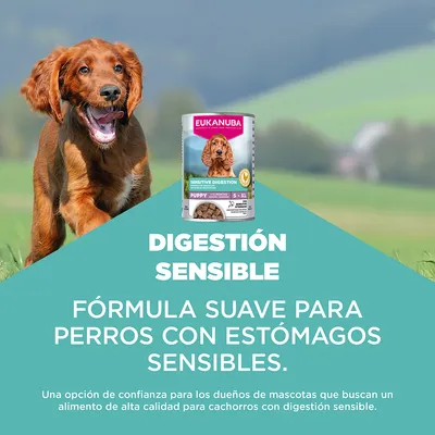 Eukanuba Special Care Puppy Sensitive Digestion Eukanuba Special Care Puppy Sensitive Digestion